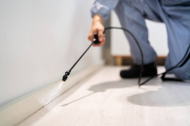 Licensed Termite Control service in Elyria, OH - Nex Pest Control