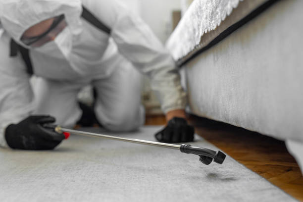 Professional Termite Control technician working in Elyria, OH