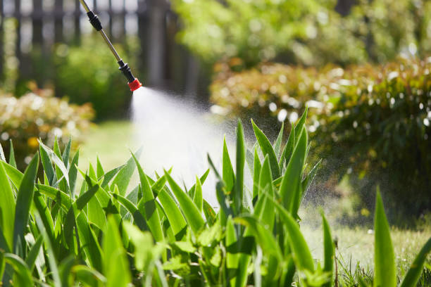 24/7 Emergency Termite Control experts in Elyria, OH